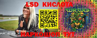 прущие грибы Славгород
