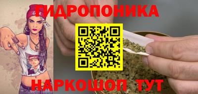марки nbome Сланцы