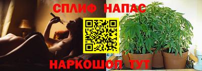 прущие грибы Славгород