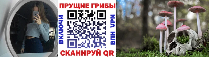 Галлюциногенные грибы Cubensis  что такое наркотик  Химки 