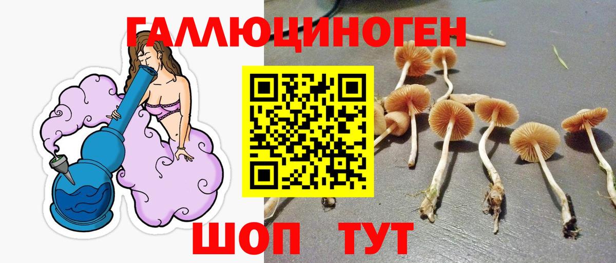 Псилоцибиновые грибы Cubensis  Вход с VPN  где продают наркотики  Химки 